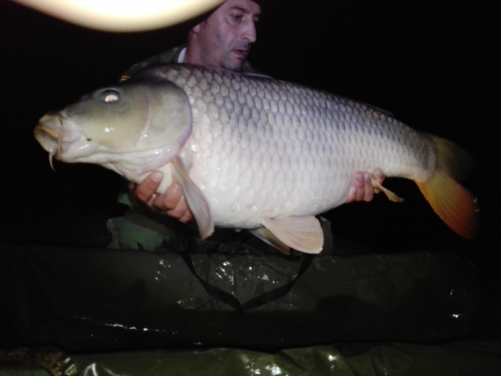 1-5 Octombrie Cetariu - img20161003004141.jpg